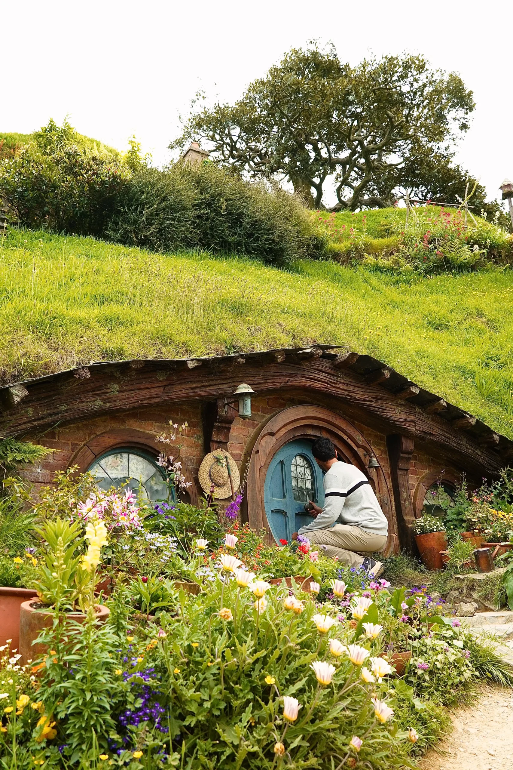 Hobbiton tour guiado