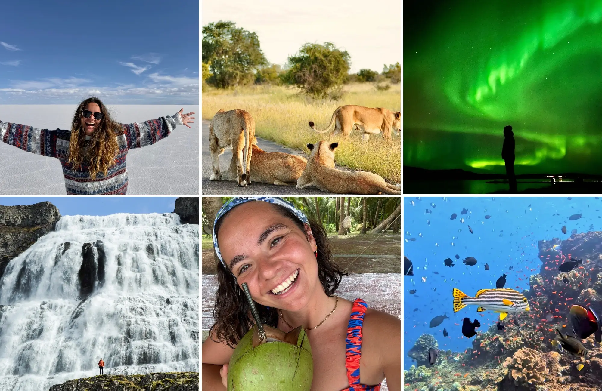 Alba de Viajeroslowcosteros