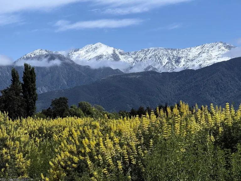 paisaje Kaikoura ranges
