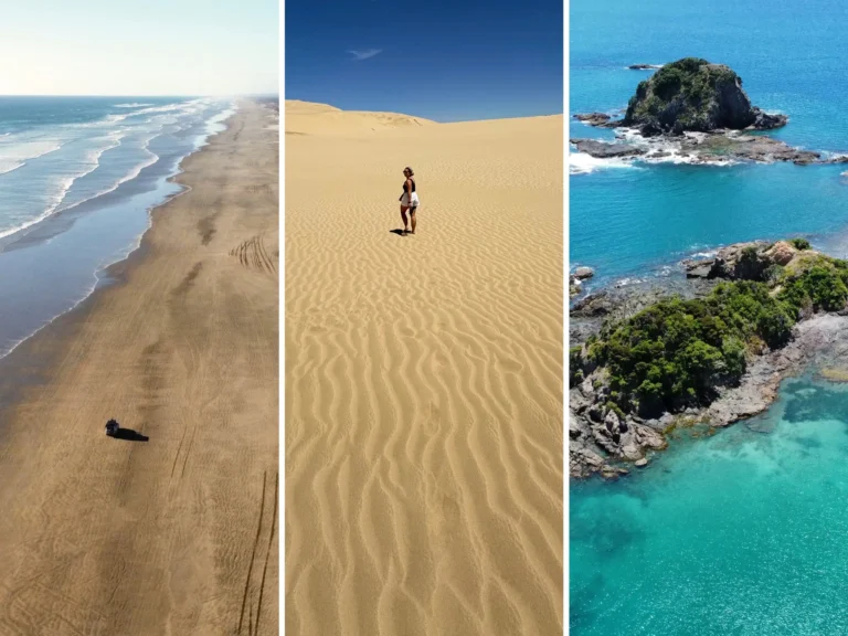 portada-guia-northland