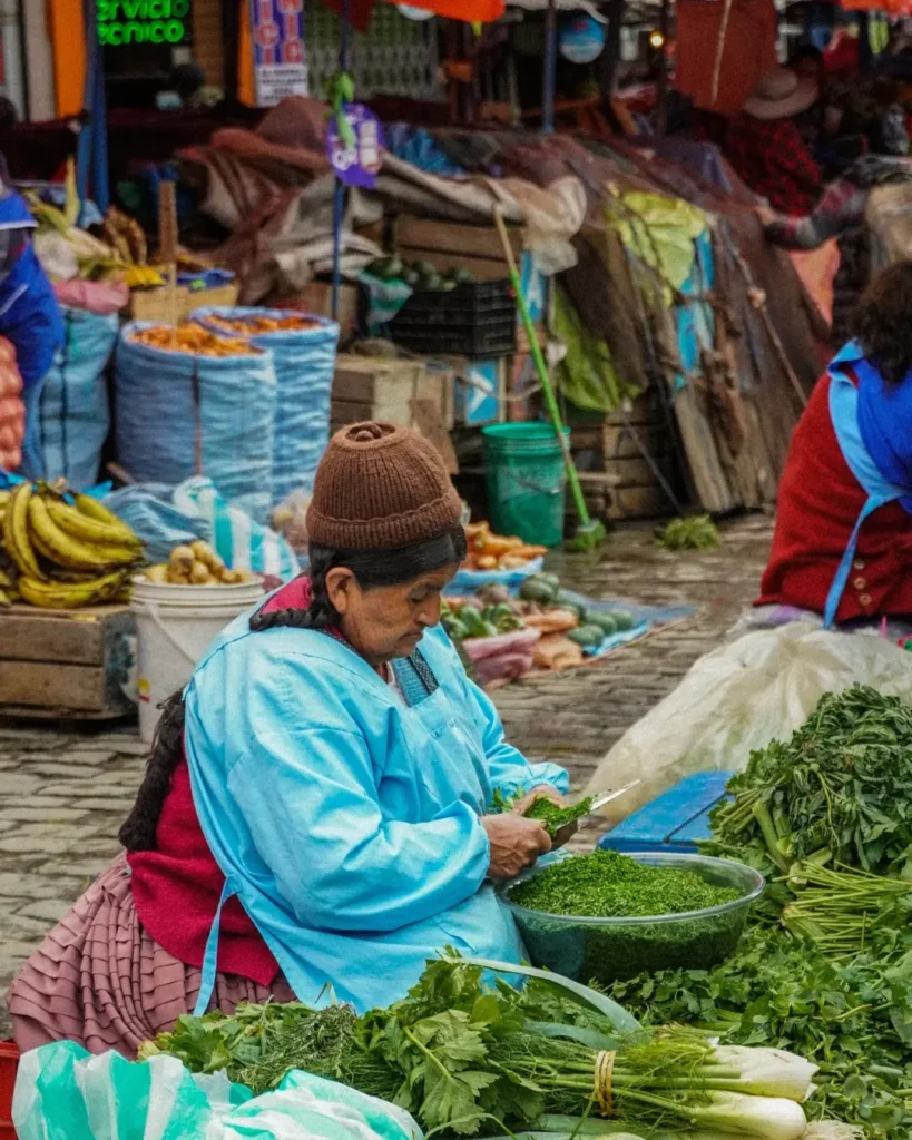 mercado-la-paz-bolivia mercado de la paz bolivia