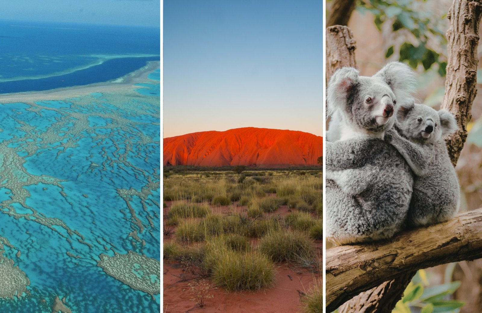 portada guia de viaje por libre australia