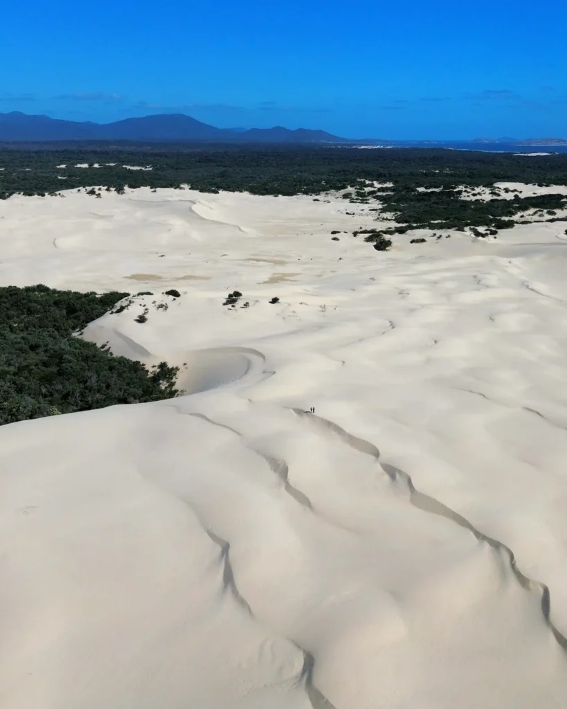 big-drift-wilsons-pomontory Dunas en Wilson's Promontory