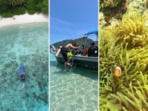 fotos para la portada de la guía de buceo en Perhentian