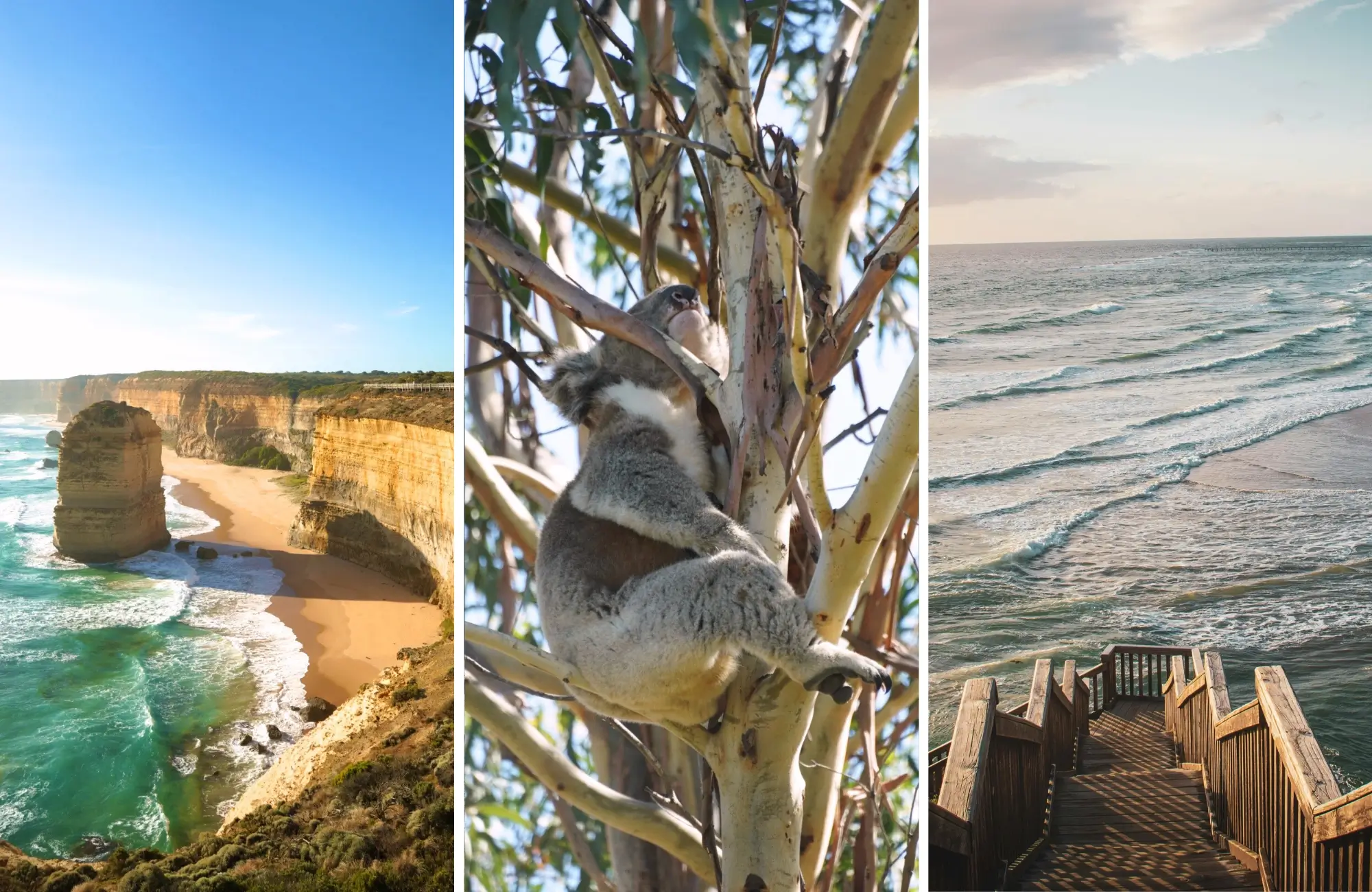 road-trip-melborine-adelaide Road trip de Melbourne a Adelaide