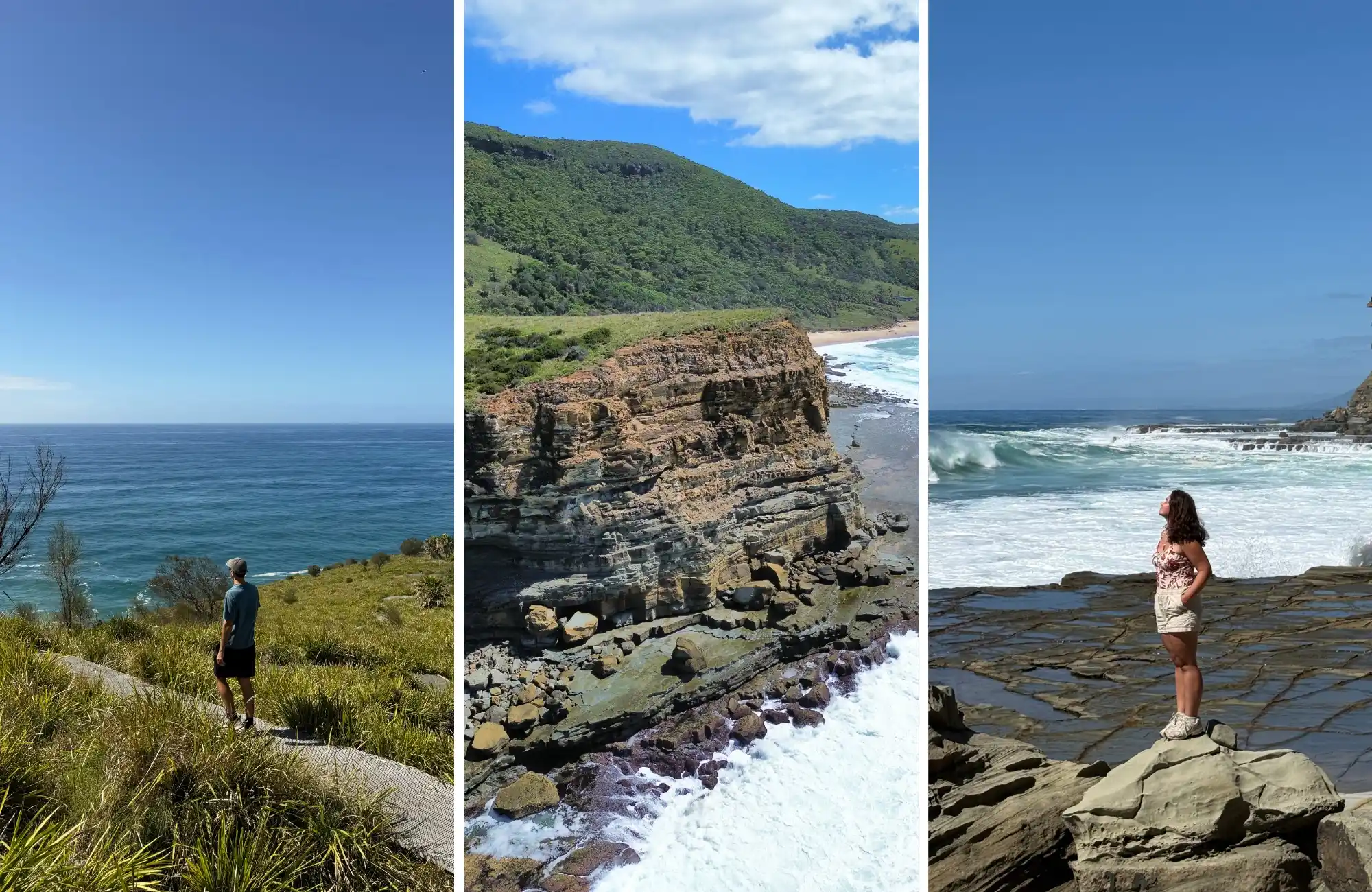 royal-national-park Royal National Park en Sídney