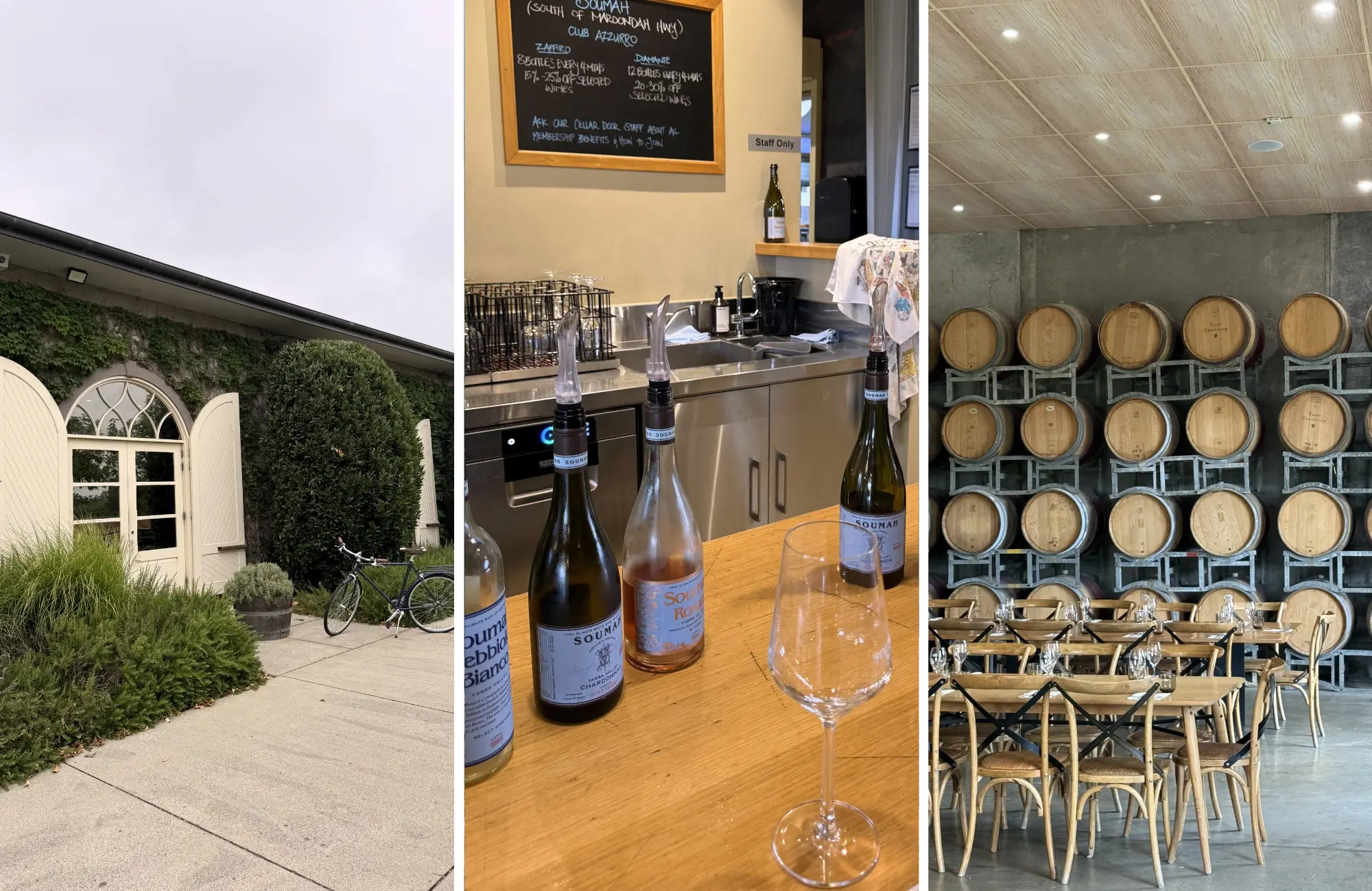 yarra-valley-cata Bodega en Yarra Valley