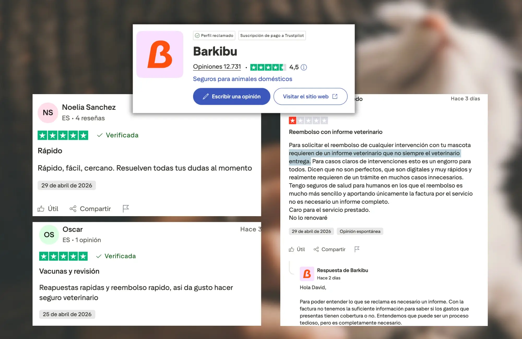 opiniones-seguro-mascotas-Barkibu opiniones en trustpilot seguro para mascotas Barkibu