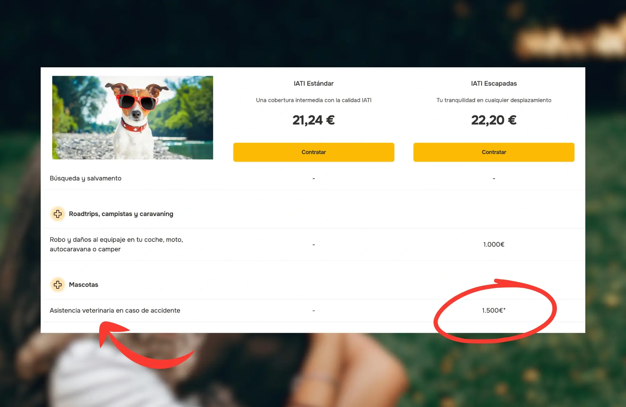 seguro-viaje-mascotas Iati escapadas seguro para mascotas