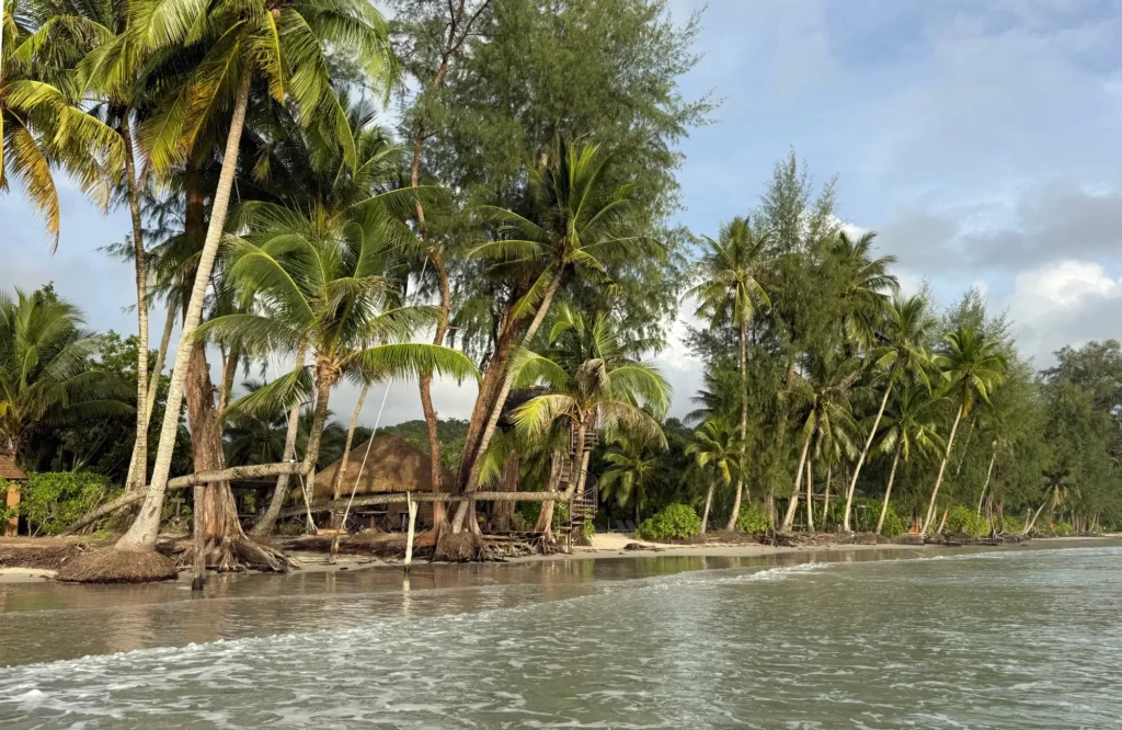 Klong-Chao Playa de Klong Chao con cocoteros inclinados sobre la arena en Koh Kood