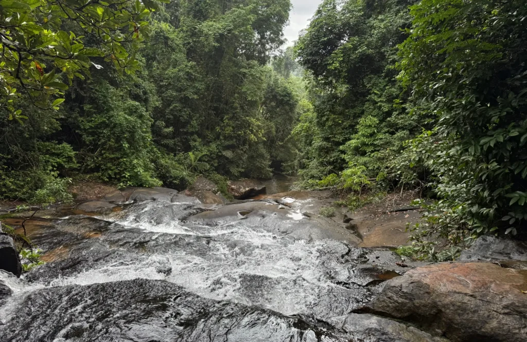 cascadas-koh-kood Cascada entre la selva de Koh Kood con rocas y vegetación tropical