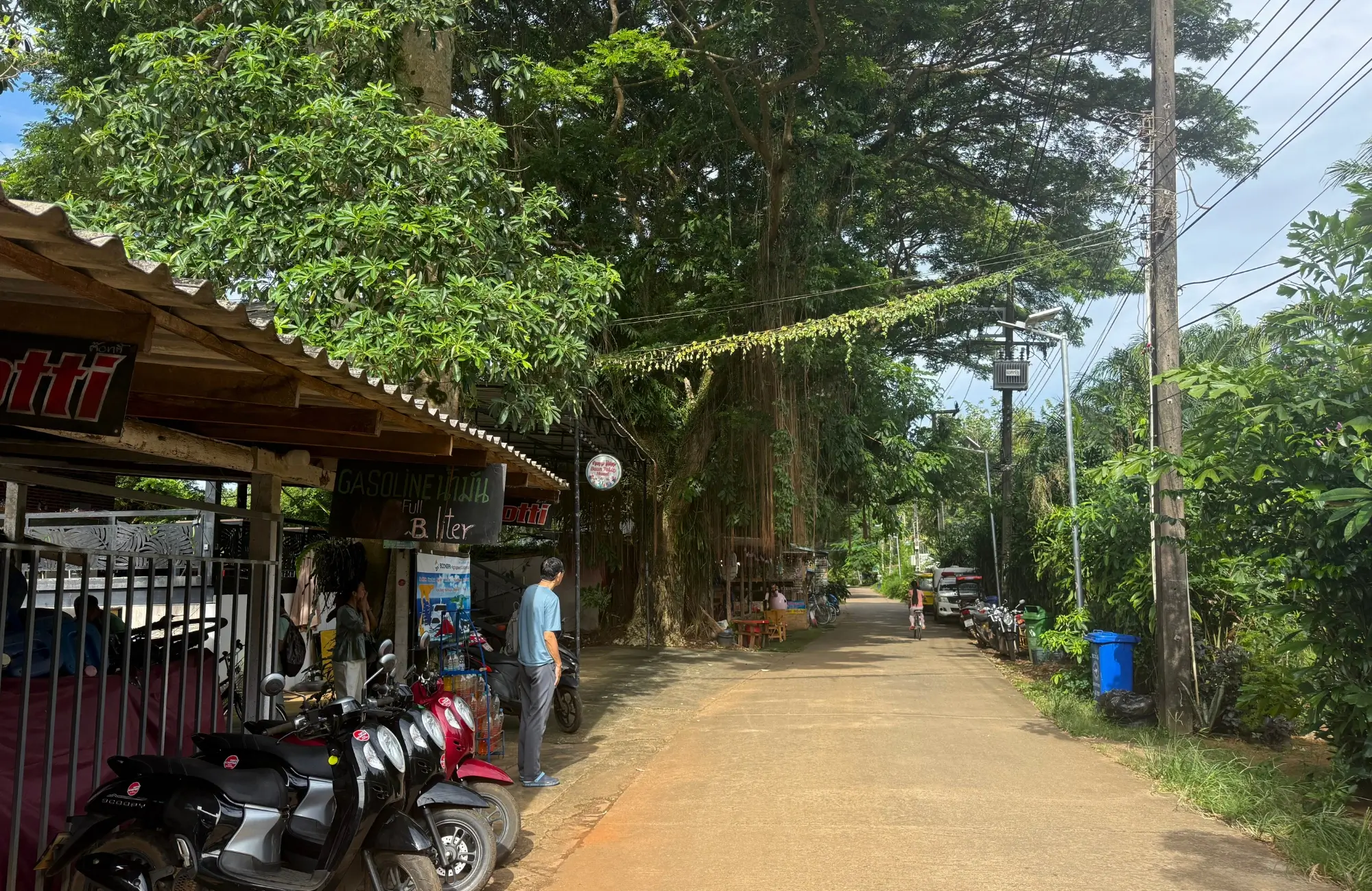 koh-mak-carreteras Carretera de Koh Mak con motos aparcadas, tiendas locales y un gran árbol baniano