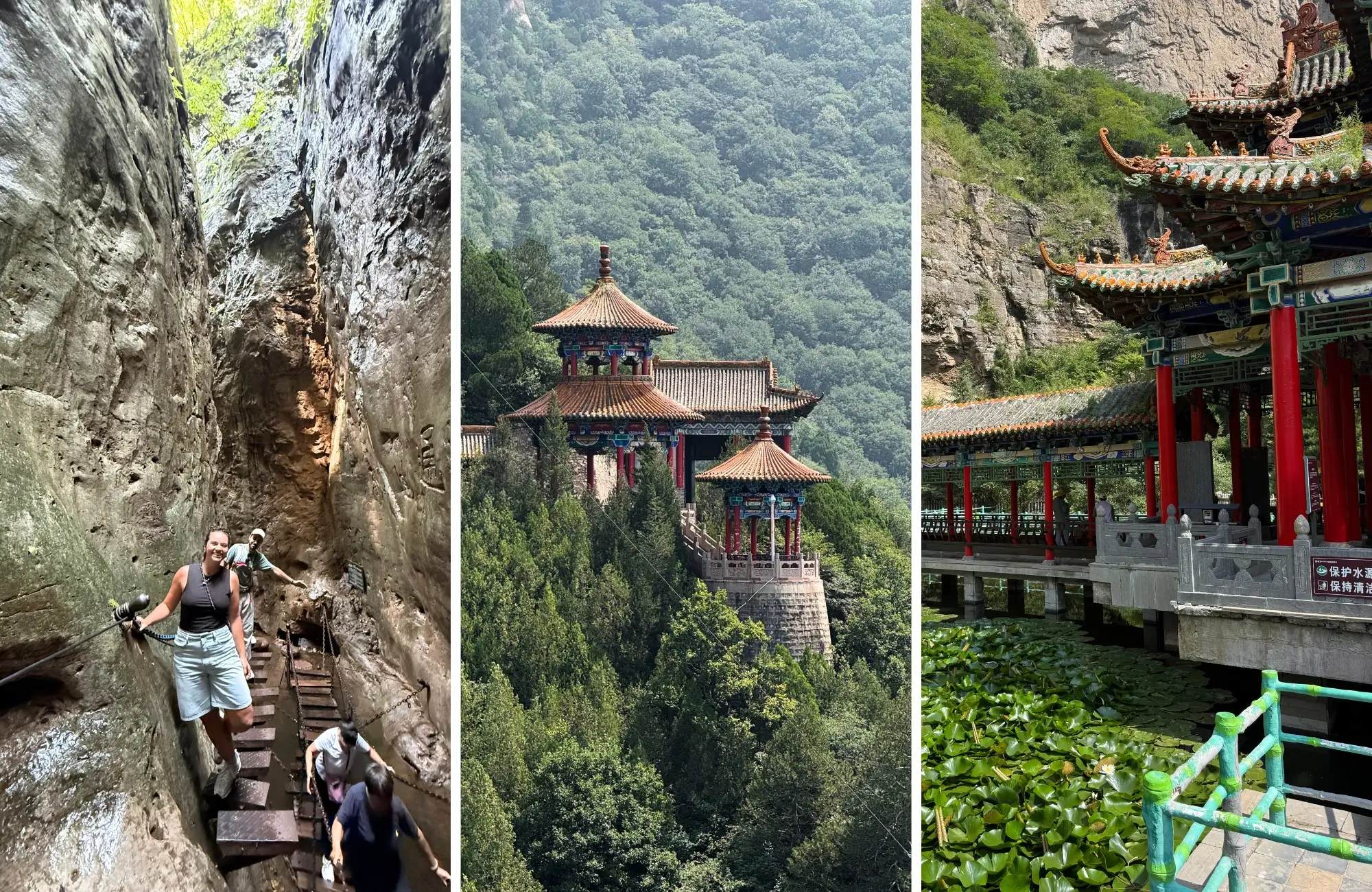 qixian-canyon-china Escaleras de madera en la garganta de Qixian, pabellón entre los pinos y templo junto a un estanque de nenúfares