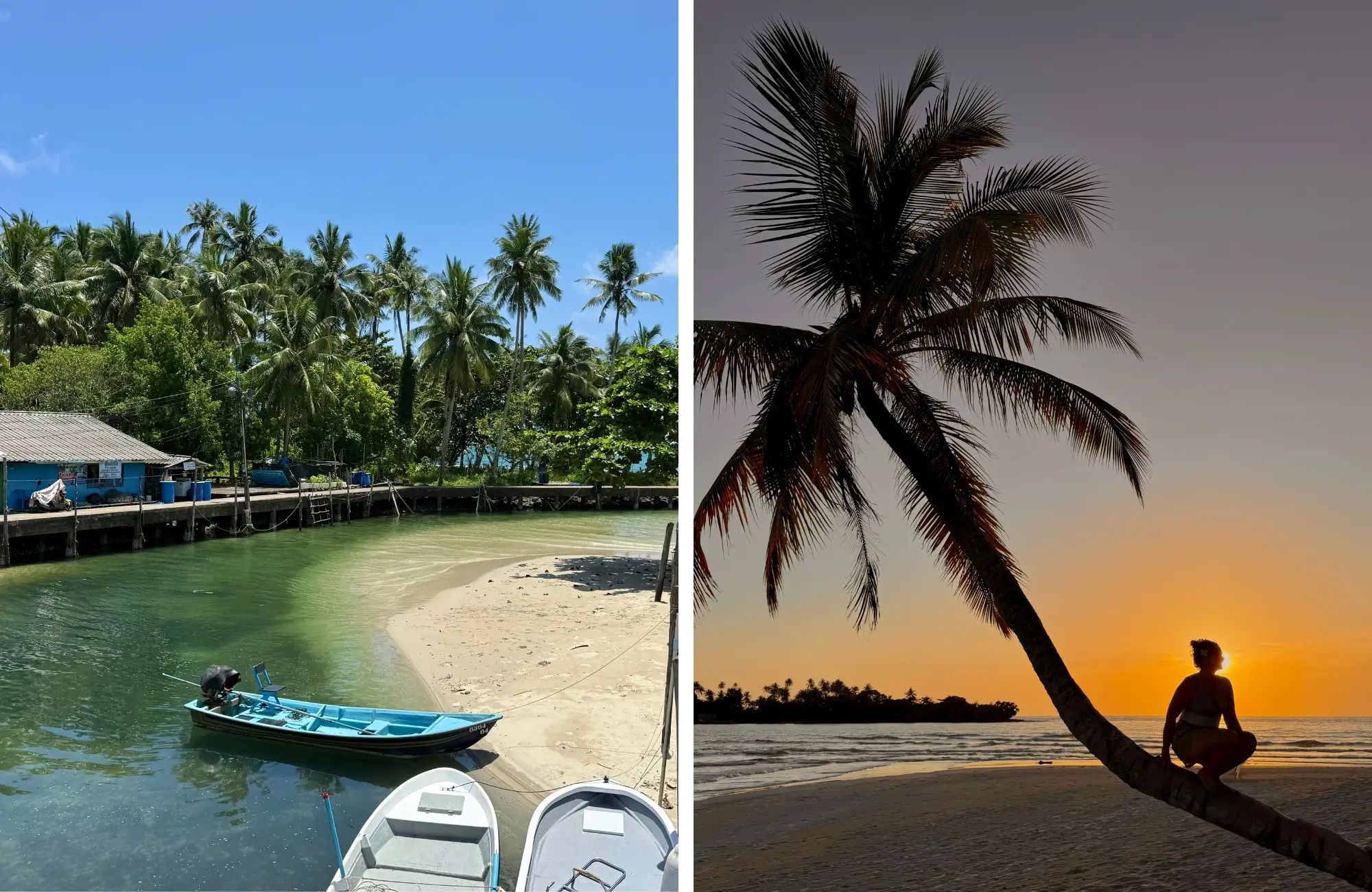 que-hacer-koh-kood Muelle de madera y silueta de palmera al atardecer en Koh Kood